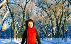 殿下请小心txt下载